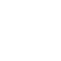 Visceral Logo