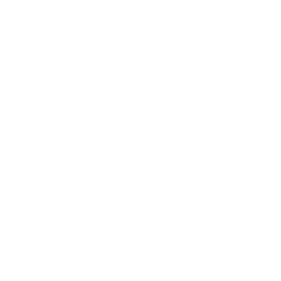 Visceral Logo
